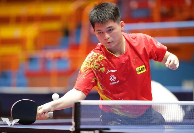 港的阵容纸 港的阵容纸