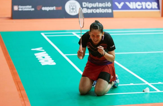 的开门红 的开门红