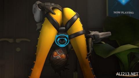 内容更新 内容更新